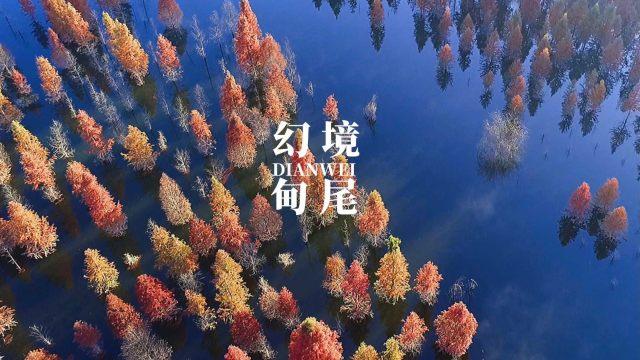 他自称溥仪堂弟,穿黄衣、束清辫,为保留祖先传统,向国家要故宫
