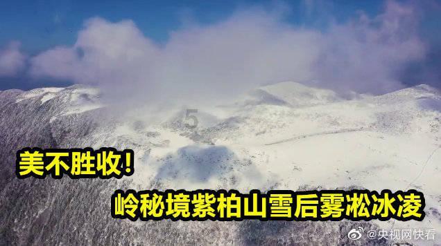 迷你高尔夫大挑战