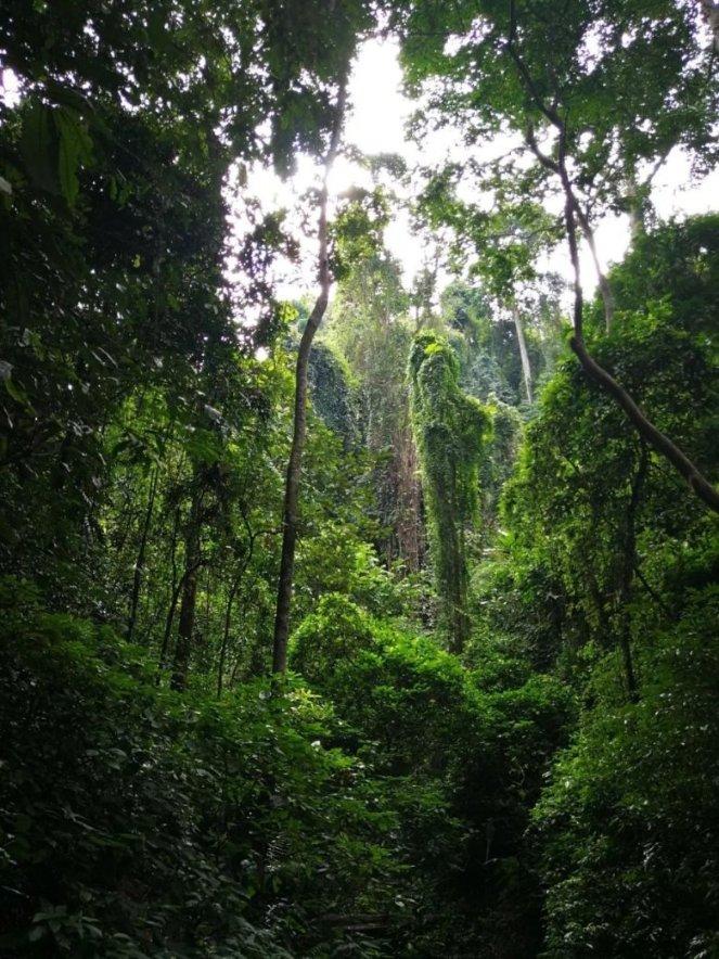 虫虫助手下载