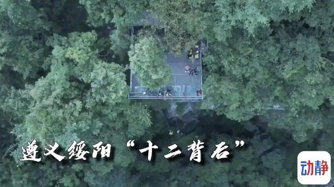 大人万万不可