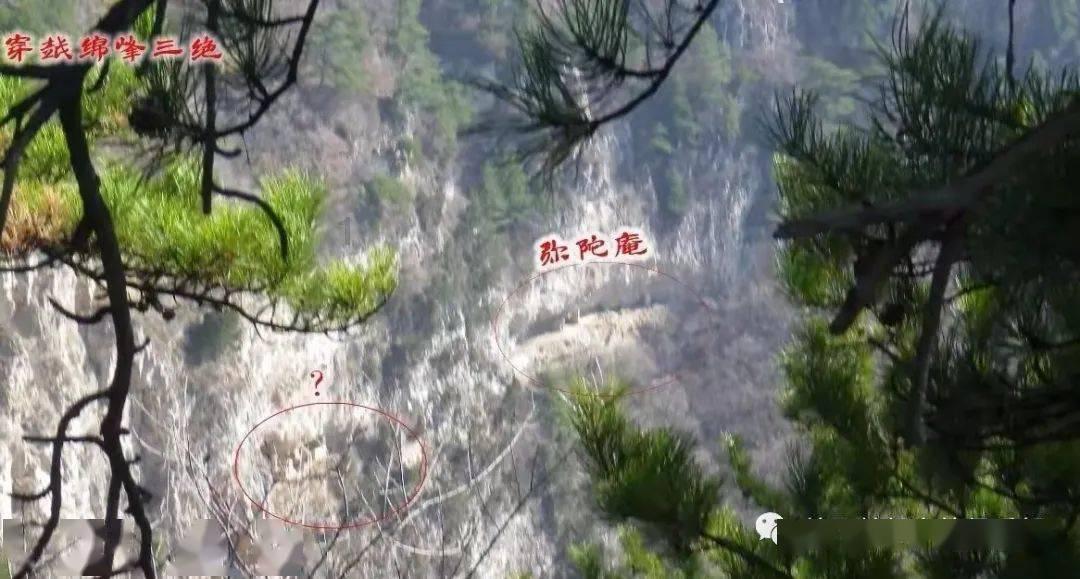 平安:税惠燃冬日 为冰雪经济添“热力”