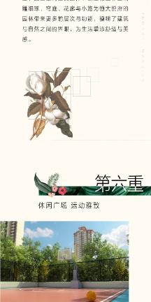 花与剑