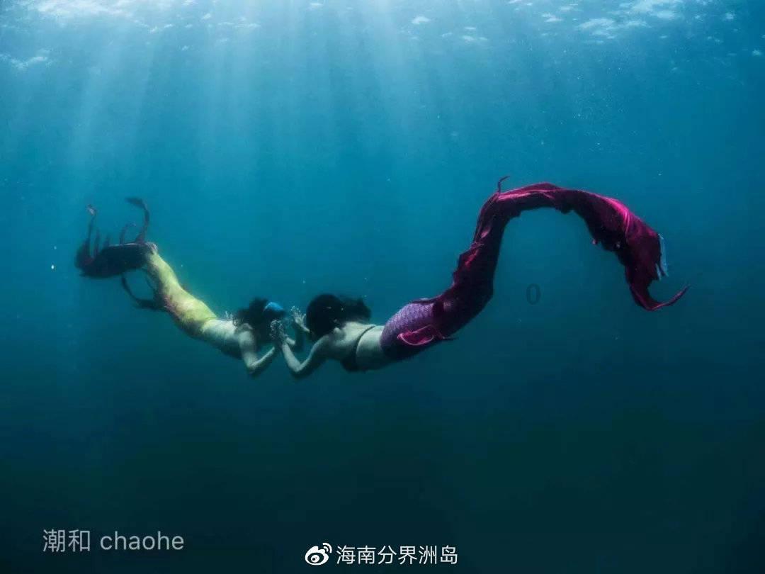 88影视