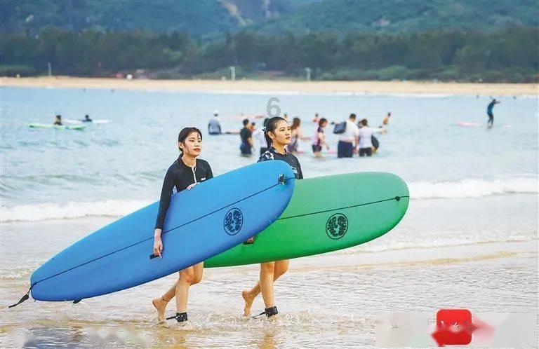 新华全媒+|厦门海洋生态修复的创新之旅