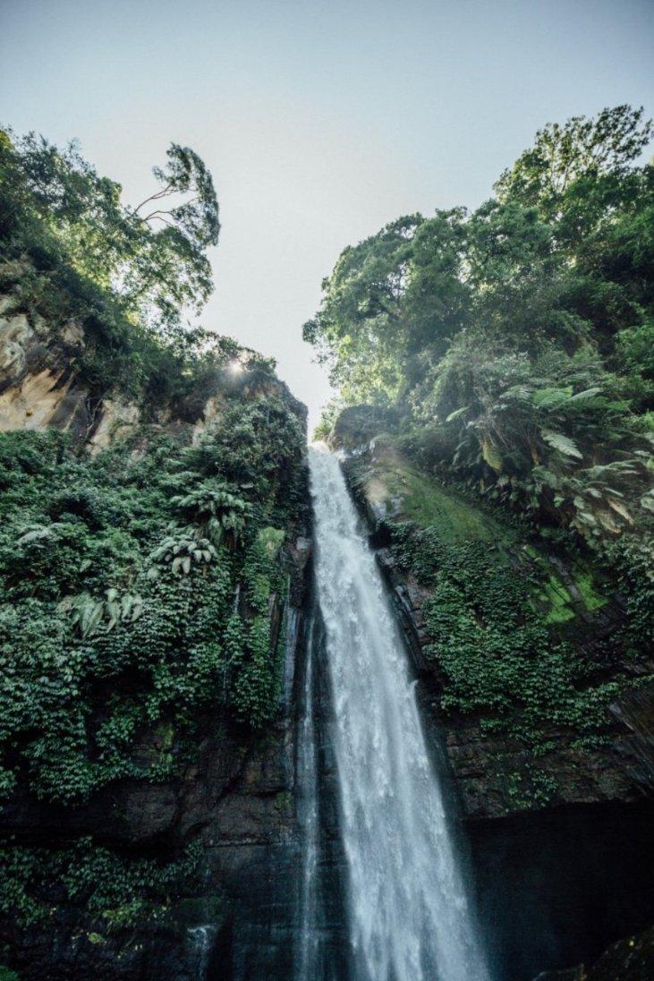 沪江开心词场