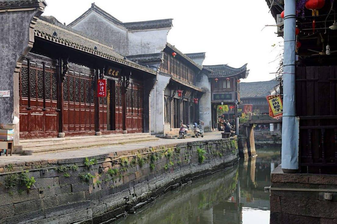 动物帮帮忙保卫家园