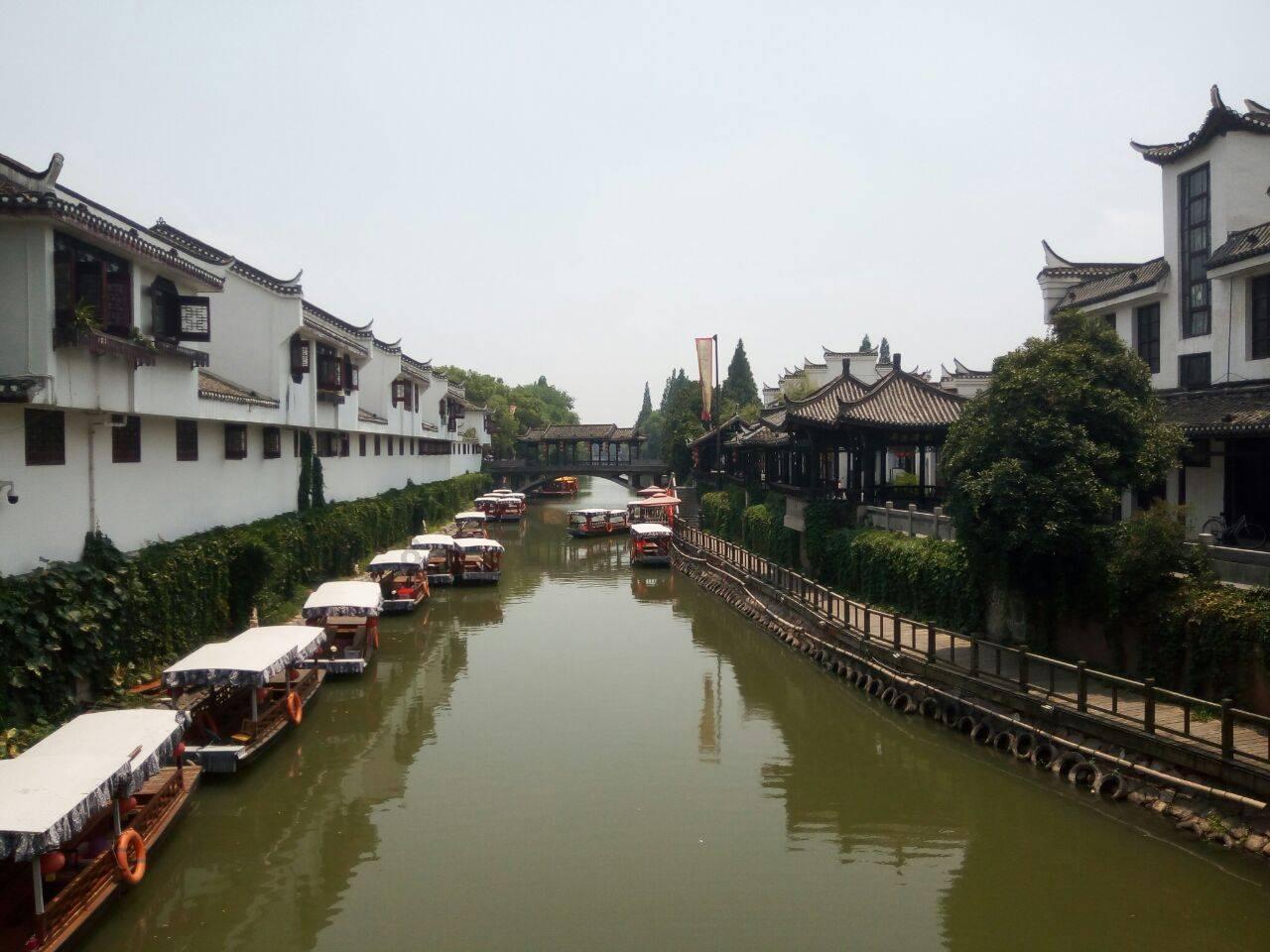 急速变色龙