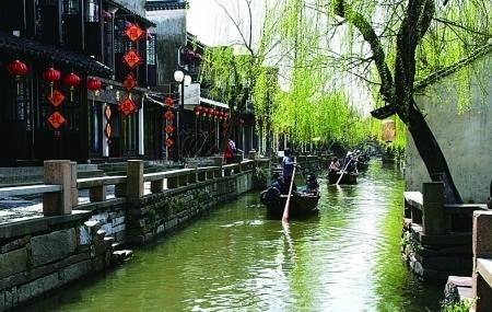 金币放置