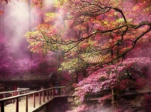 各地文旅瞄准“春节档”
