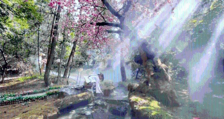 彩色夏天